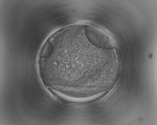 X0000116891235201001121337