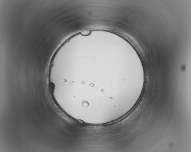 X0000116891236201001121337