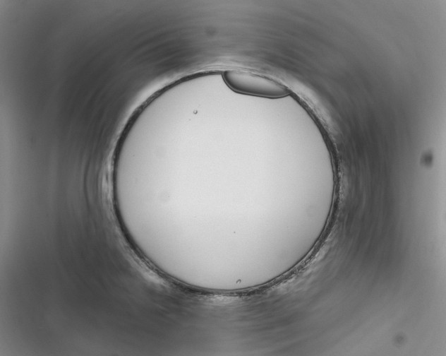 X0000116891238201001121337