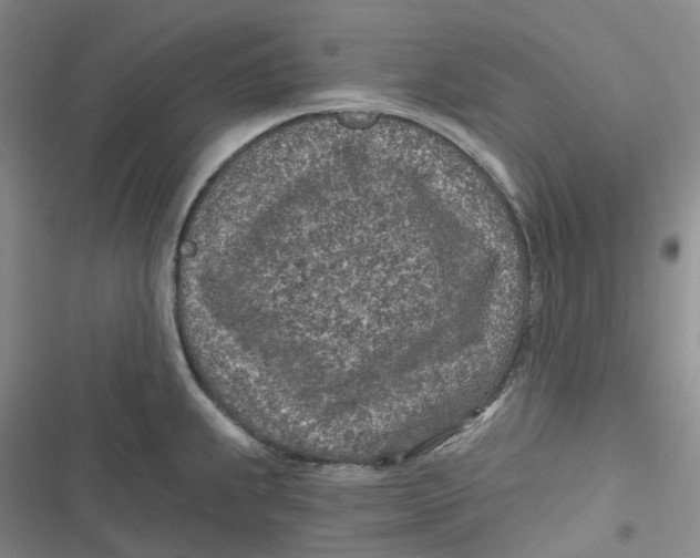 X0000116891239201001121337