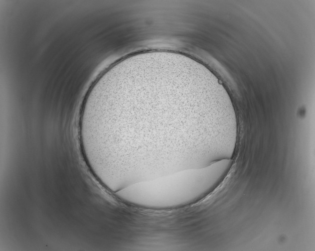 X0000116891240201001121337