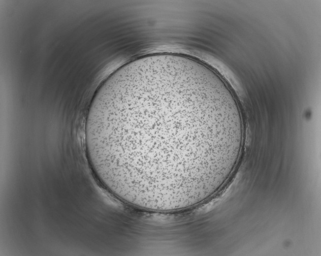 X0000116891241201001121337