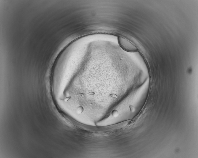 X0000116891243201001121337