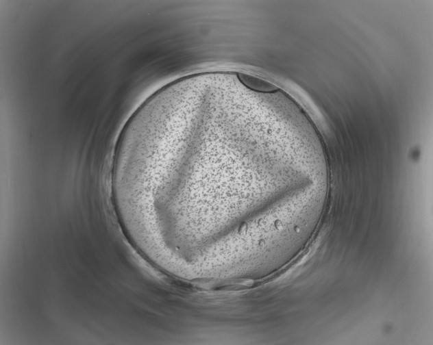 X0000116891244201001121337