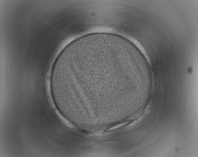 X0000116891245201001121337