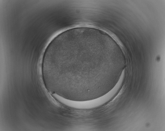 X0000116891246201001121337