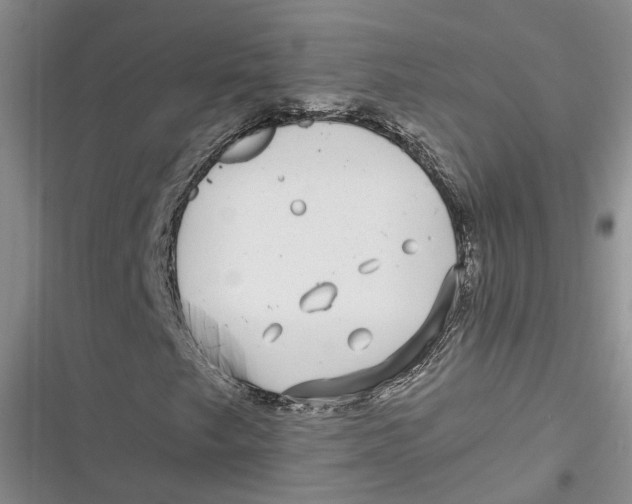 X0000116891249201001121336