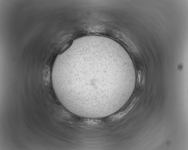 X0000116891251201001121336