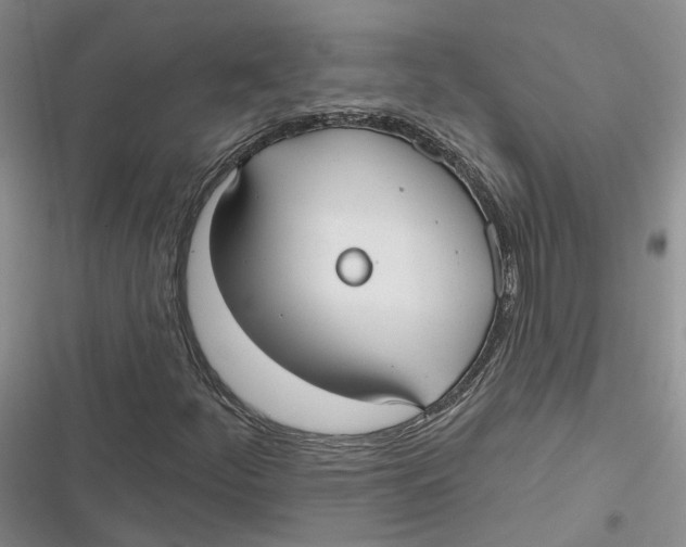 X0000116891252201001121336