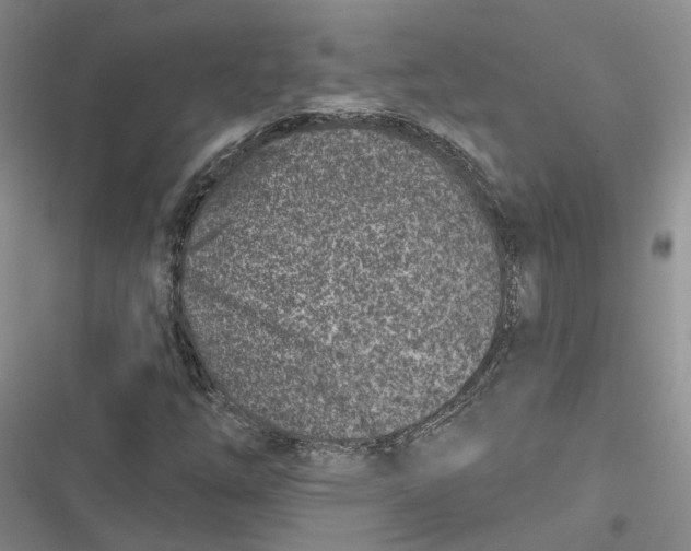 X0000116891254201001121336