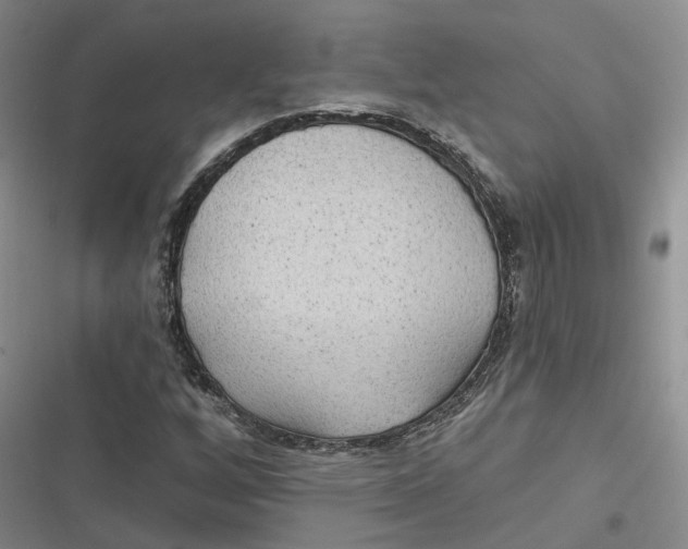 X0000116891256201001121336