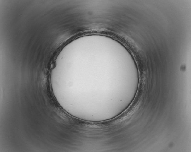 X0000116891257201001121336