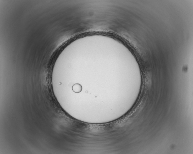 X0000116891258201001121336