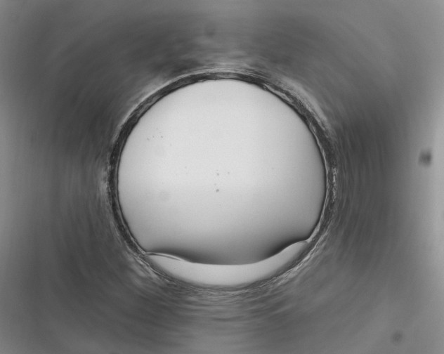 X0000116891260201001121336