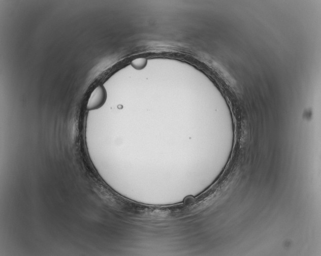 X0000116891261201001121336