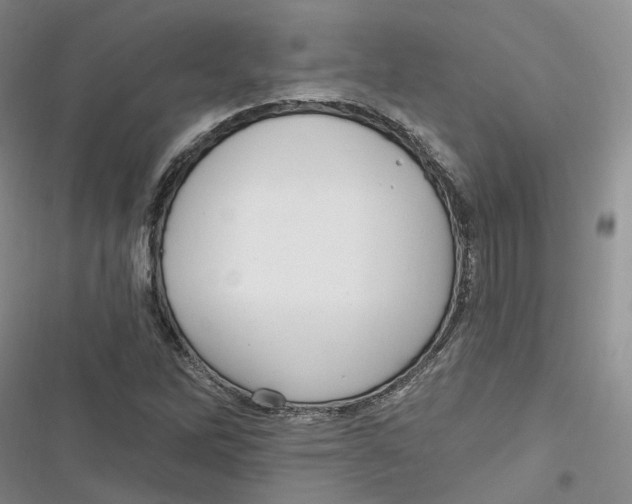 X0000116891262201001121336