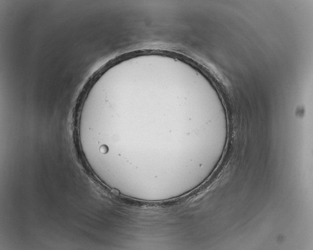 X0000116891264201001121336