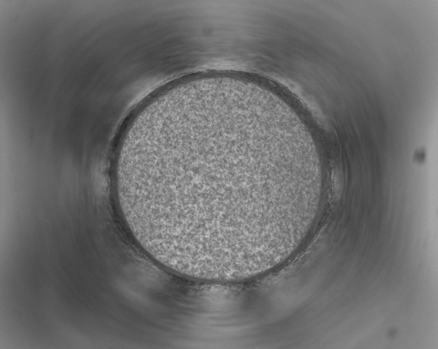 X0000116891266201001121336