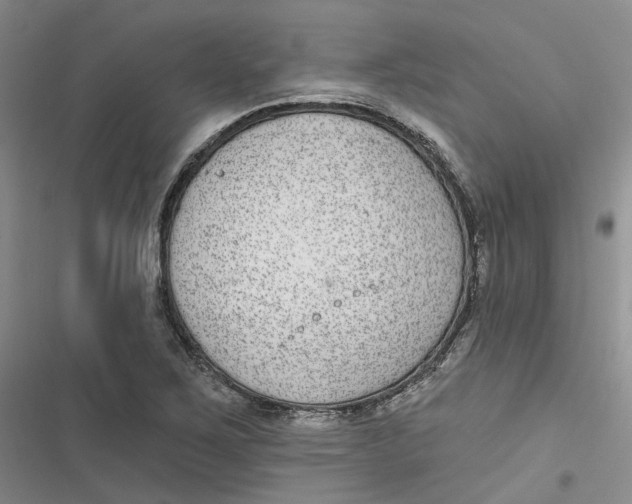 X0000116891267201001121336