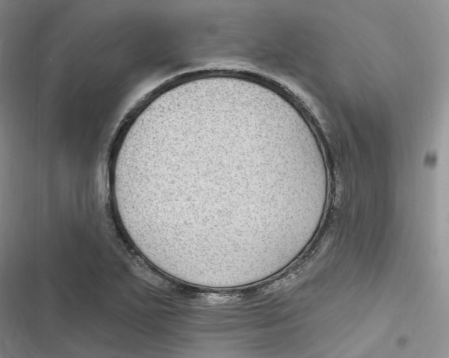 X0000116891271201001121336