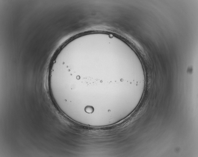 X0000116891272201001121336