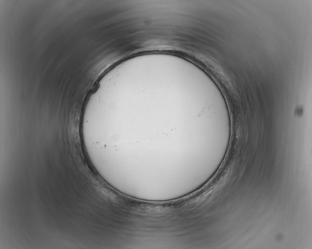 X0000116891273201001121336