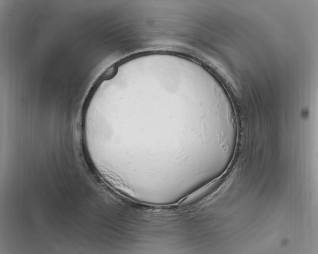 X0000116891275201001121336