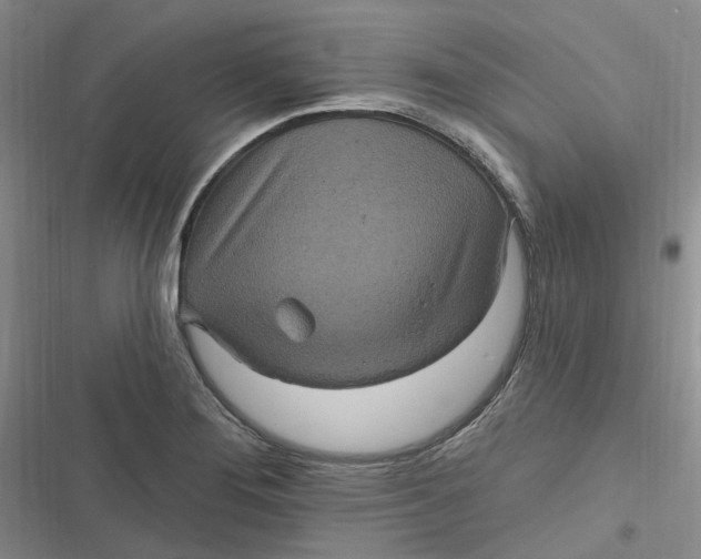 X0000116891276201001121336