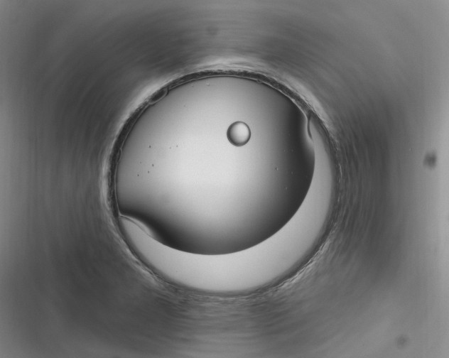 X0000116891277201001121336