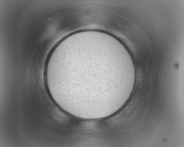X0000116891278201001121336