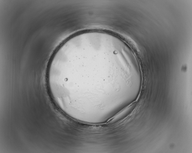 X0000116891279201001121336
