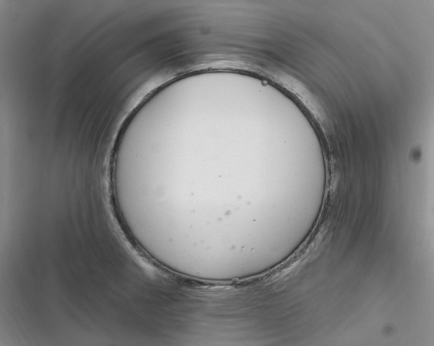 X0000116891282201001121336