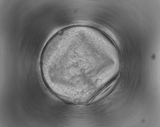 X0000116891283201001121336