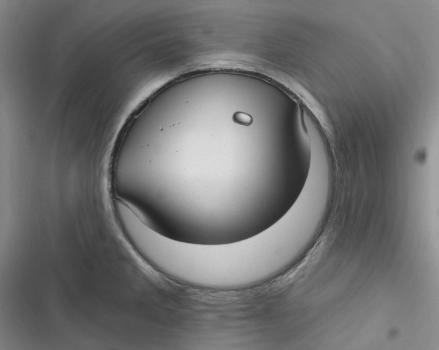 X0000116891285201001121336