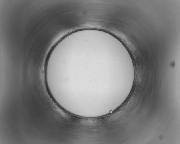 X0000116891286201001121336