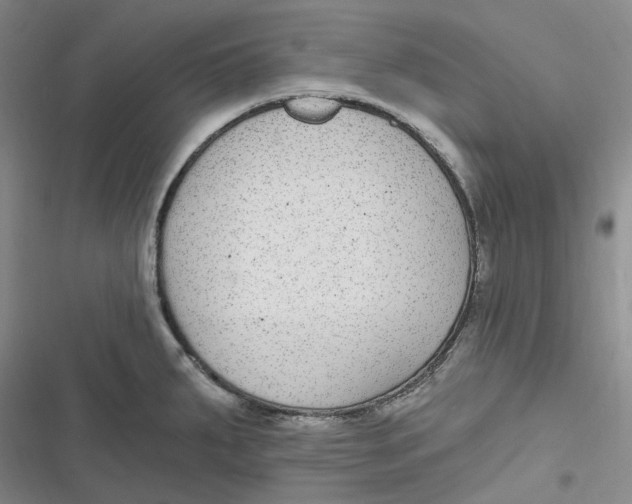 X0000116891287201001121336