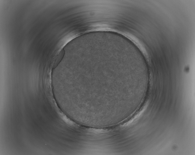 X0000116891289201001121336