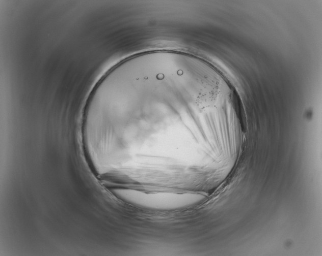 X0000116891291201001121336