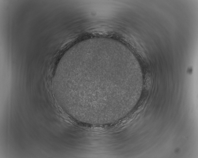 X0000116891297201001121335