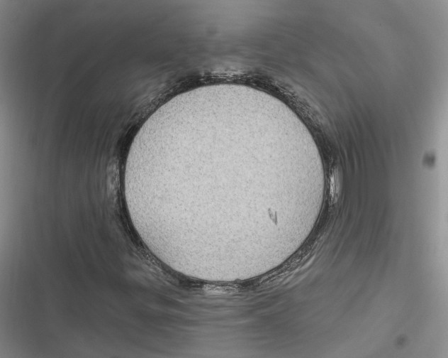 X0000116891299201001121335