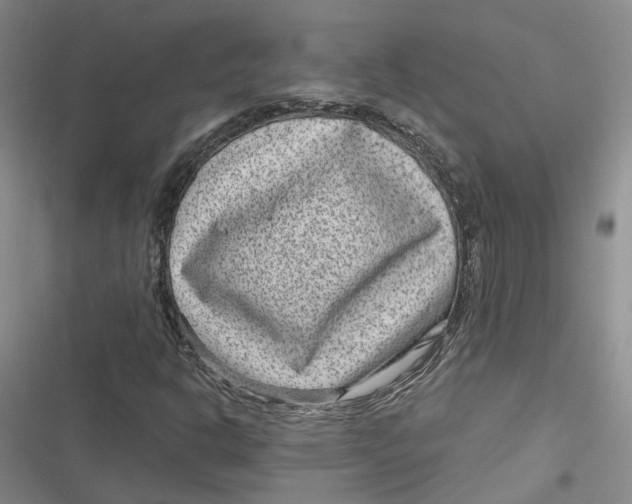 X0000116891302201001121335