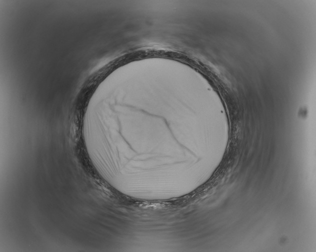 X0000116891303201001121335