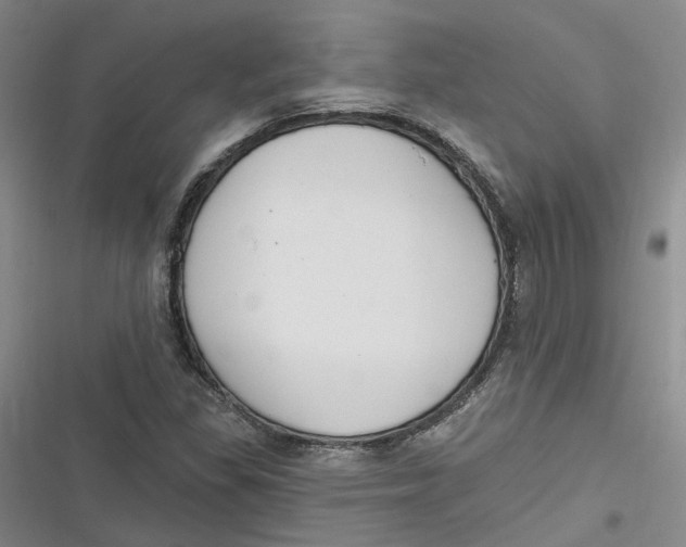 X0000116891309201001121335