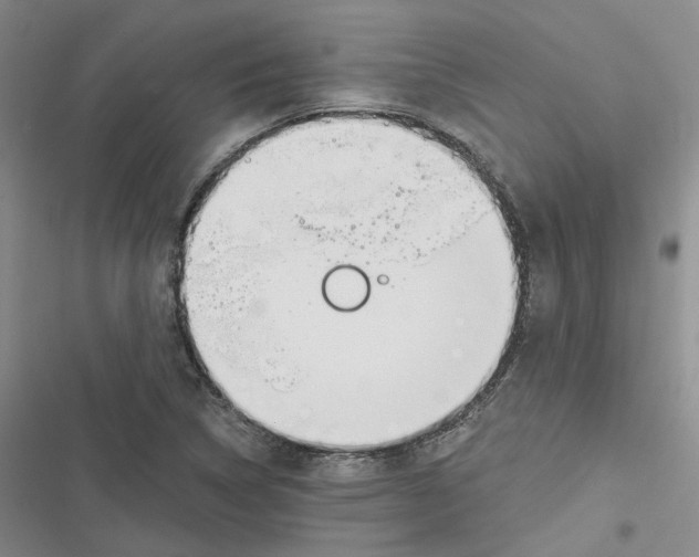 X0000116891314201001121335