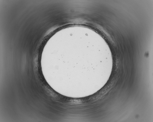 X0000116891315201001121335