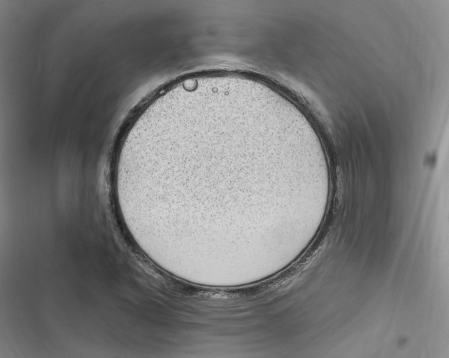 X0000116891318201001121335