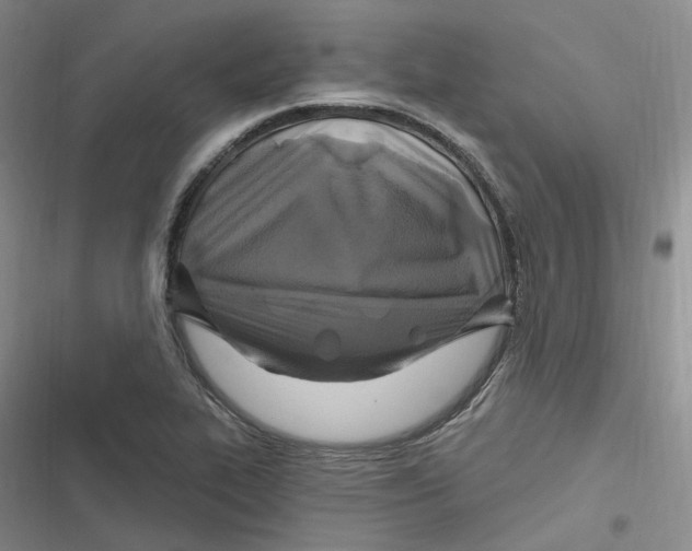 X0000116891319201001121335
