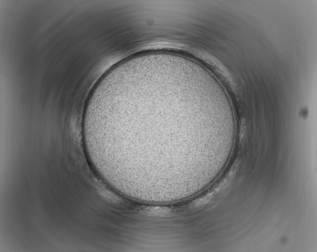 X0000116891321201001121335