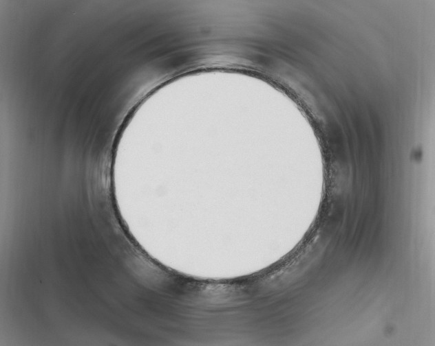 X0000116891322201001121335