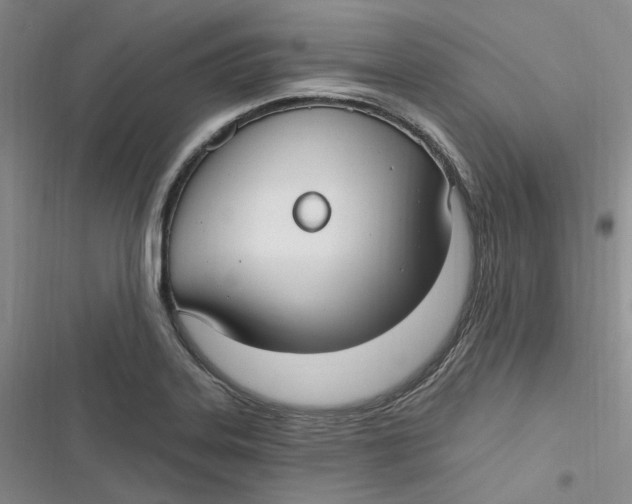 X0000116891323201001121335